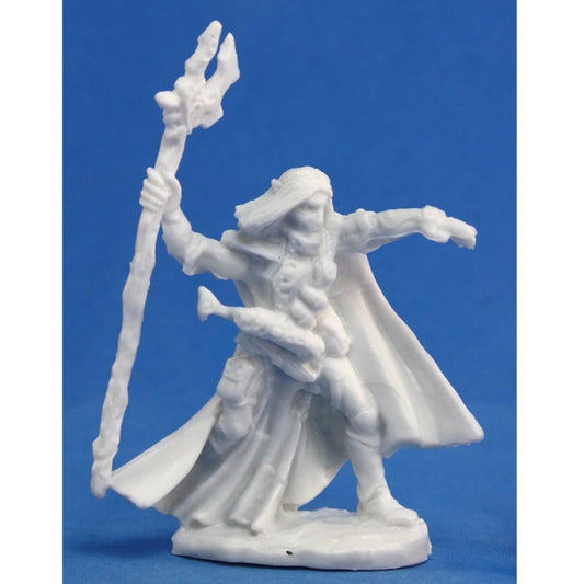 Reaper Bones: Elquin, High Elf Adventurer Reaper Bones: Elquin, High Elf Adventurer