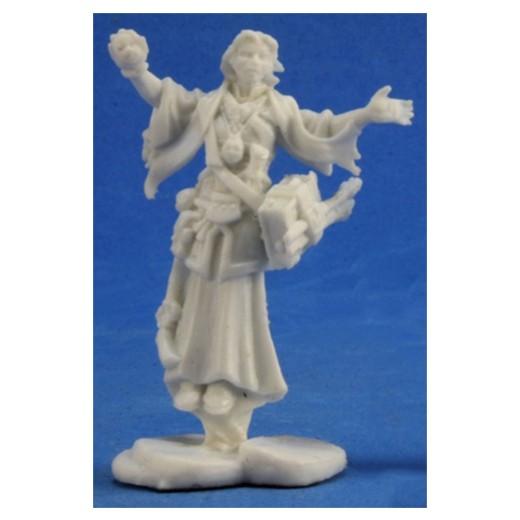 Reaper Bones: PF: Mystic Theurge Reaper Bones: PF: Mystic Theurge