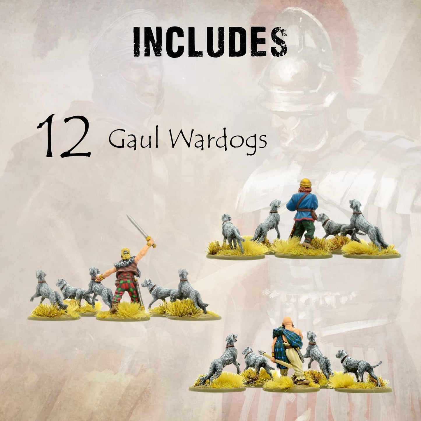 SPQR - Gaul: War Dogs