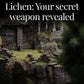 Warlord Games - Battlefields & Basing: Dark Green Lichen (180ml)