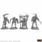 Reaper Bones: Beastmen (4)